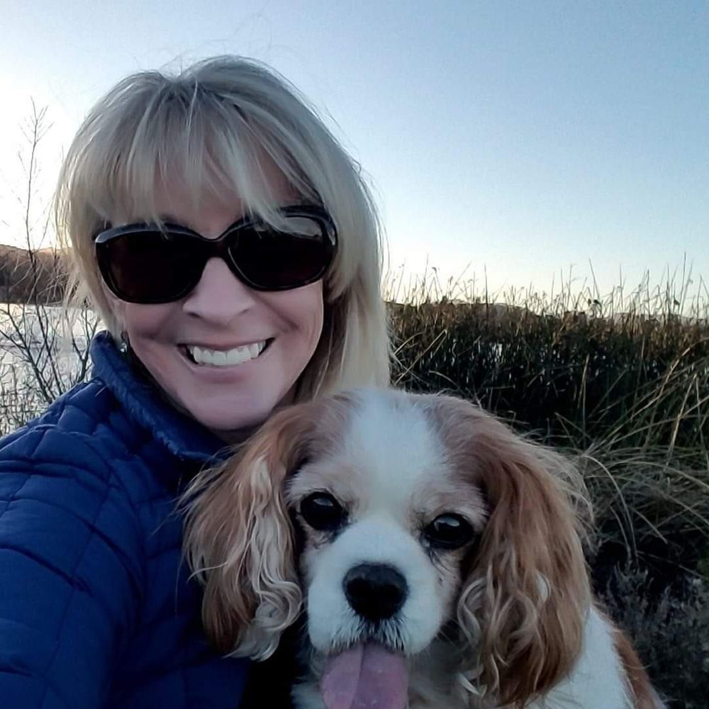 Meet your Posher, Barbi